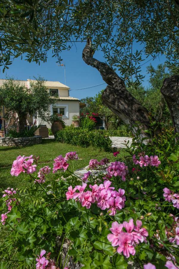 Corfu Villa Linea Línia Exterior photo