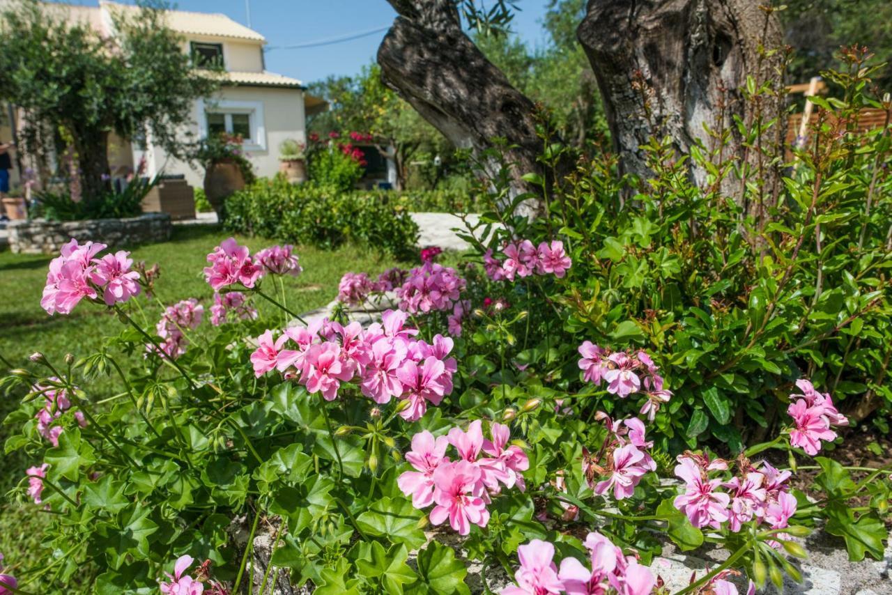 Corfu Villa Linea Línia Exterior photo